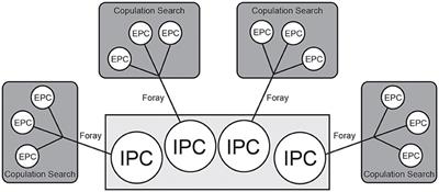 When to Cheat: Modeling Dynamics of Paternity and Promiscuity in Socially Monogamous Prairie Voles (Microtus ochrogaster)